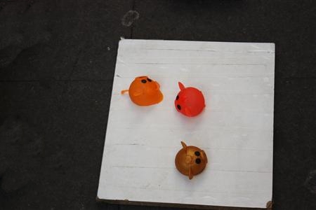 IMG_4411.JPG